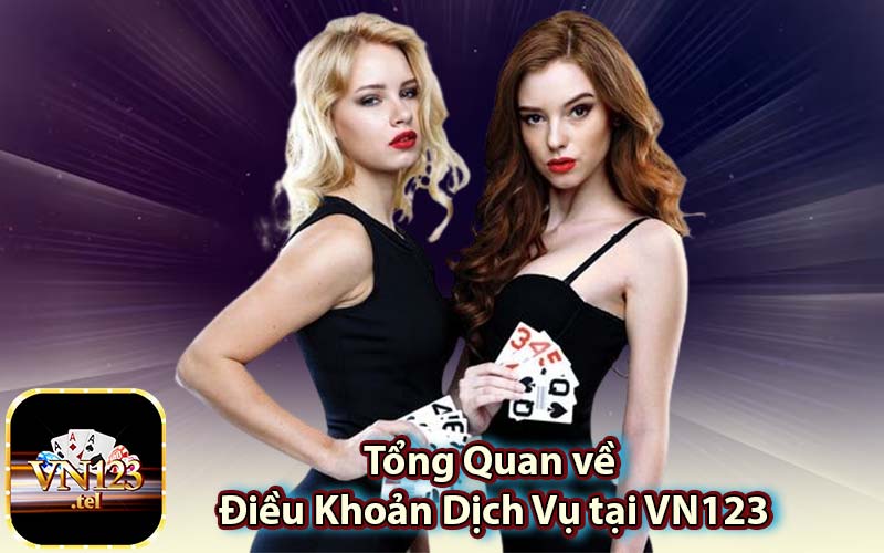 Tổng Quan về Điều Khoản Dịch Vụ tại VN123